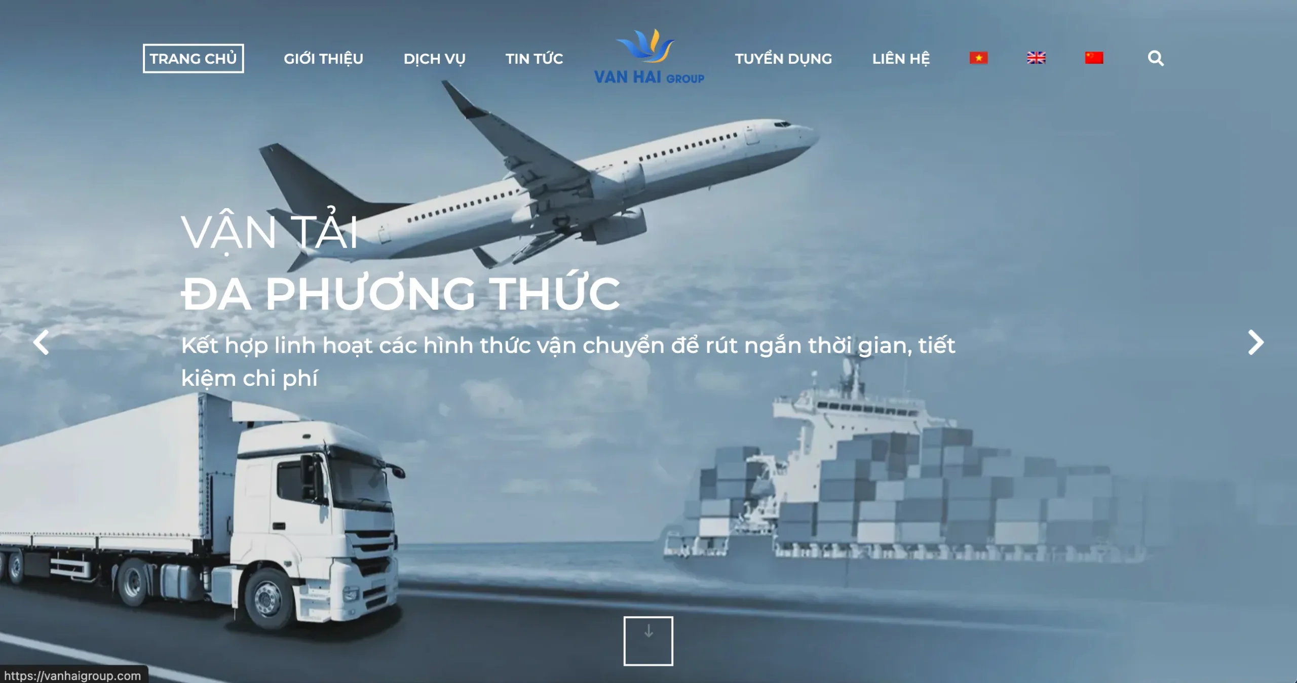 web logistic 10 scaled